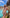 Coconut Brown Bikini - BOTTOM