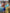 Current Blue Boardies'