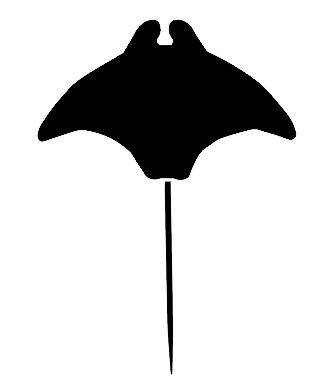 Products – Manta Surfwear